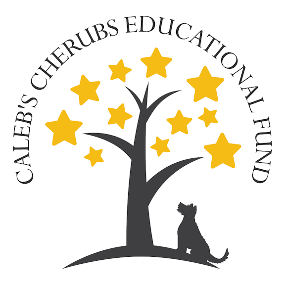 CCEFVT logo